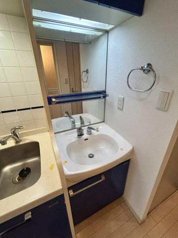 プレサンス淀リーヴァの洗面所