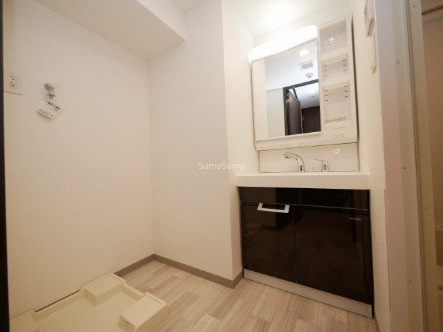 S-RESIDENCE日本橋Qualierの洗面所