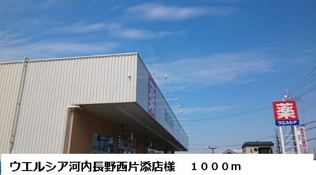 【周辺】 | サンフェリスタⅡ | ウエルシア河内長野西片添店様まで1000m