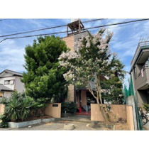 外観もきれいです