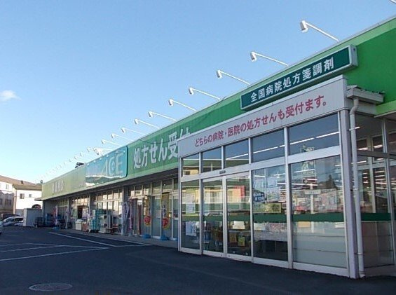 ドラックエース箭弓町店まで700m