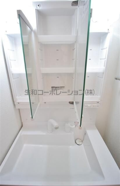 スカイガーデン錦糸町の洗面所