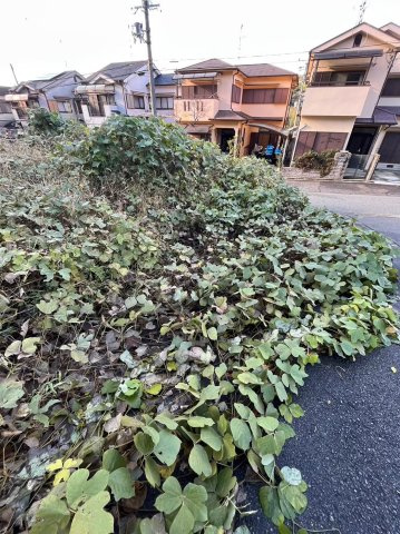 柏原市国分東条町の売地の周辺