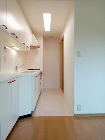 川崎市多摩区登戸の賃貸マンションの内装