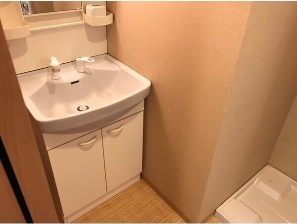 グランエターナ名古屋鶴舞の洗面所