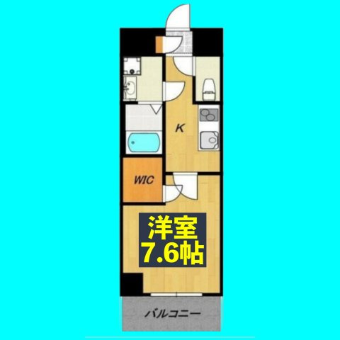 TIRAPALACE天神山(チラパレステンジンヤマ)の間取り