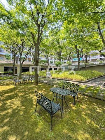 パティオス１６番街の庭