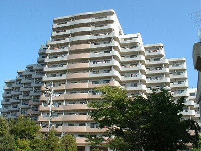 バンベール城山