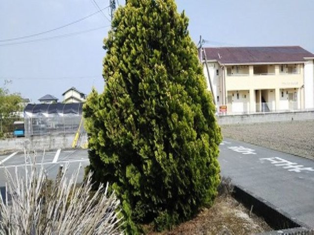 レオパレスレミュール二番館のその他|設備・使用は号室により異なる為、現況を優先致します。