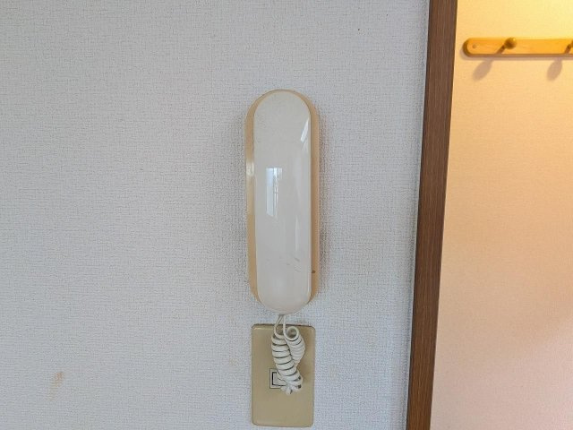 ハイム・パーシモンのセキュリティ