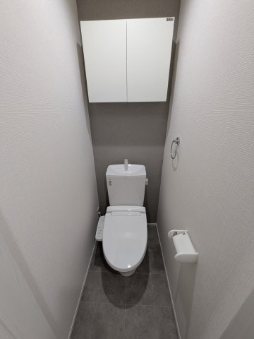 ラフィーネ生田Ⅱのトイレ