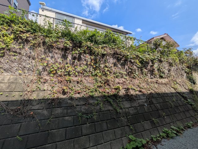 ラフィーネ生田Ⅱの外観