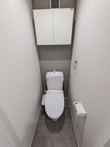 ラフィーネ生田Ⅱのトイレ