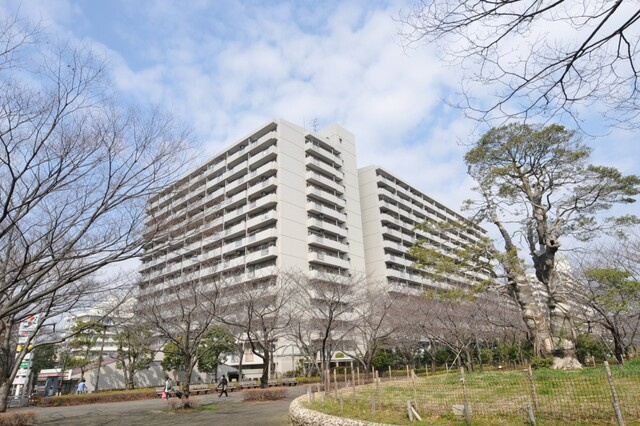 小松川パークマンション弐号棟（13階部分）／仲介手数料無料／新規フルリノベーション