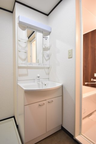 グレースハイム上住吉の洗面所
