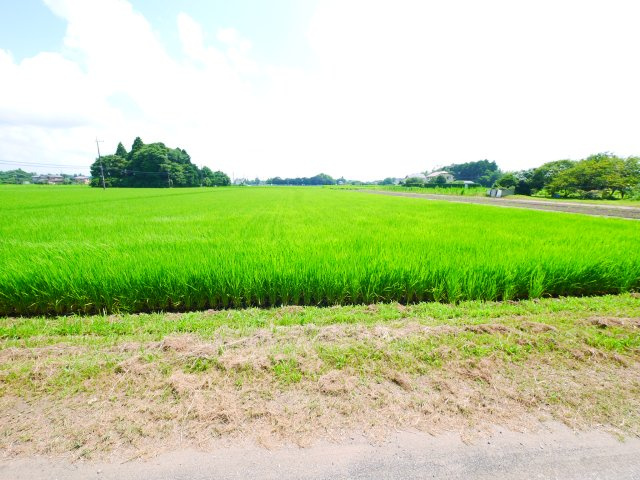 茂原市小轡　中古戸建の展望|敷地約63坪 駐車4台 平成15年6月築 田園地帯で自然豊かな立地 2階リビング 