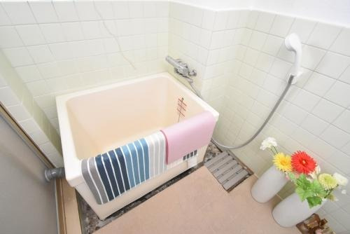 コーポのなか|物件の画像5