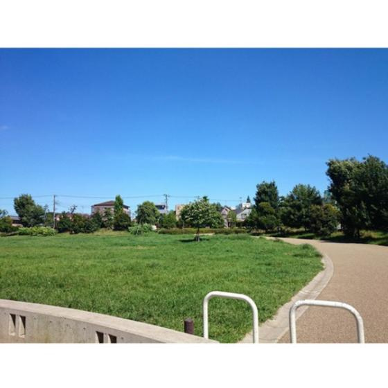 カーサ西荻の周辺|公園「杉並区立桃井原っぱ公園まで1080ｍ」