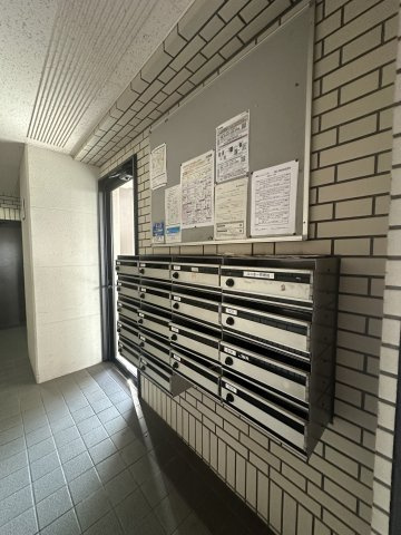 Sun・Cedarのその他