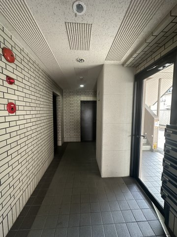Sun・Cedarのその他