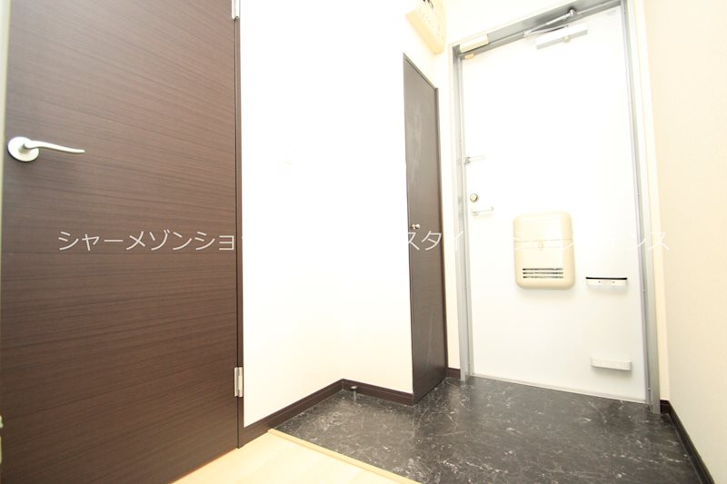 レオネクストムラヤマⅢの玄関