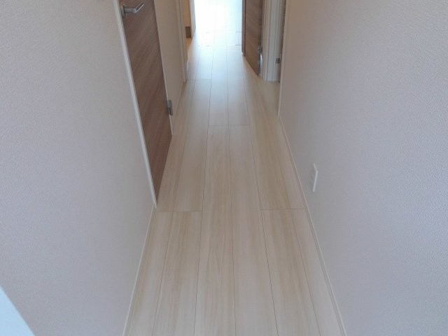 ルートサンヨウのその他