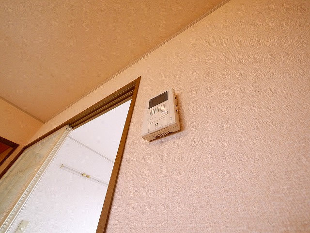 ジミニークリケットのセキュリティ|モニター付きインターホンです