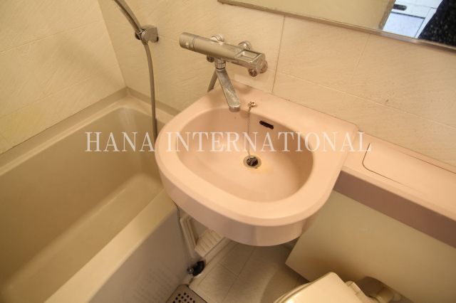 SOCIETY MINAMI-GYOUTOKU　K-017の洗面所|他部屋参考写真