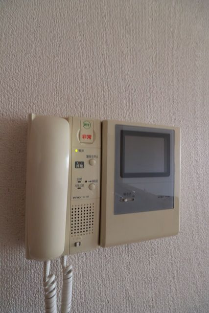 ヴィオレータのセキュリティ