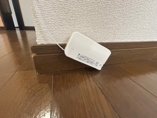 ウィング両国のその他