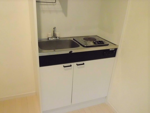 ロッソ池上A棟 Aのキッチン