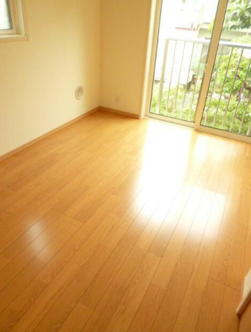Buena Vista IOGIの展望