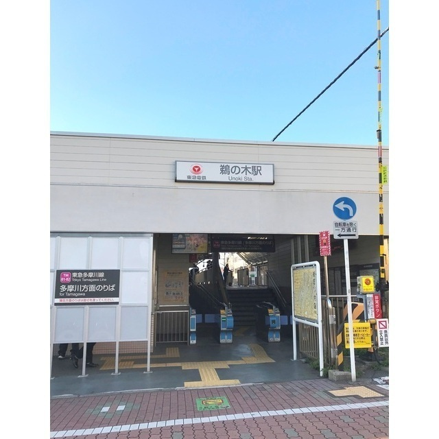 魔法の森のその他