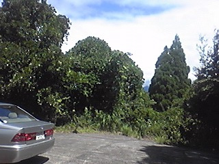 松崎町　八木山三つ平の駐車場