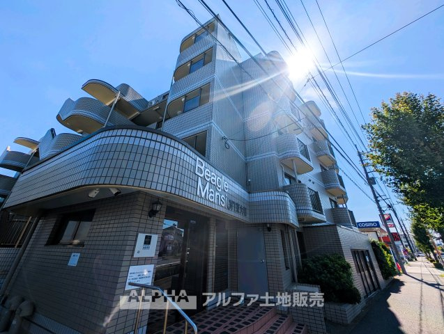 ビーグルマンション東大和