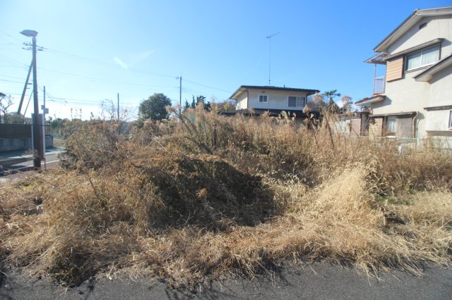 小山市羽川の外観|南東側より（2024年12月撮影）