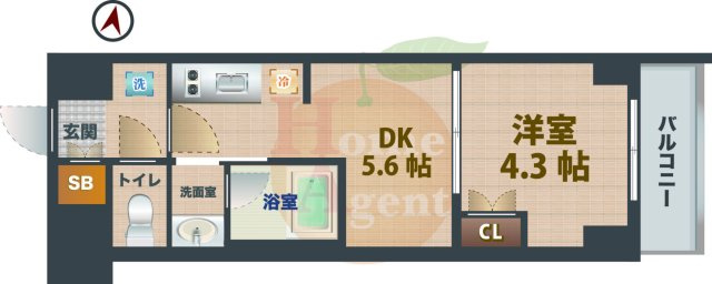 【間取り】 | ラティエラ中野新井 | 1DKのお部屋です。