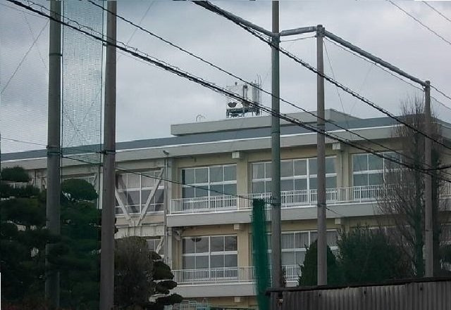 【周辺】 | アルメールＢ | 今治市立立花小学校まで300m