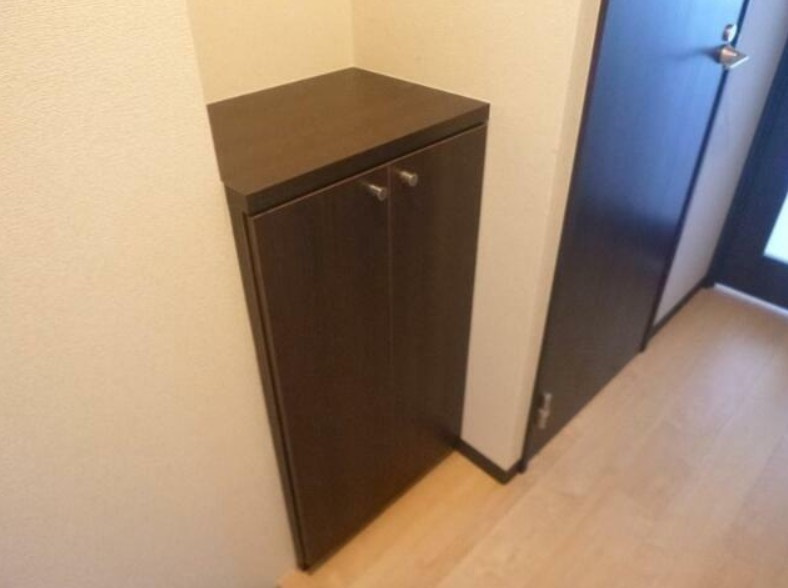 ラフィネコートのその他