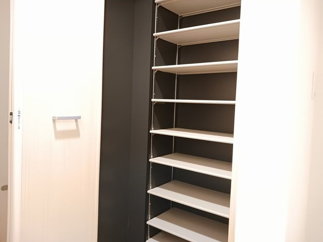 プラシードのその他