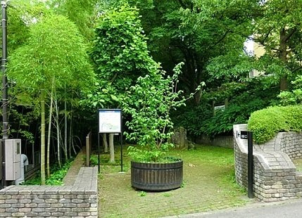 アウローラ・Ｍの周辺|いろは親水公園まで270m