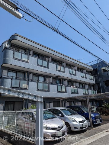 シャモールS・T・B