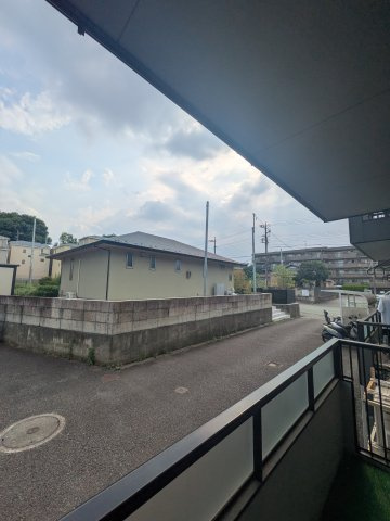シドニーBの展望