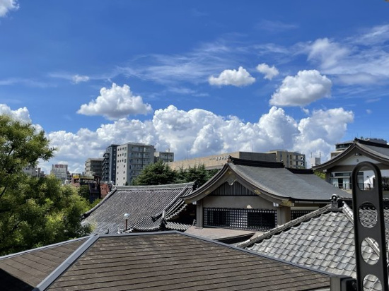 ダイナシティ浅草の展望