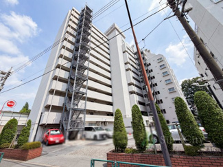 【外観】 | 桜台ハイライズ | 外観　当日のご見学、可能です！お気軽にお問い合わせください！※0120-133-468