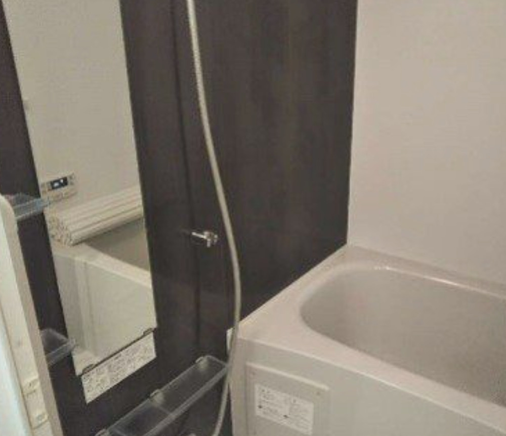 ＲＥＡＬＩＺＥ新御徒町の浴室