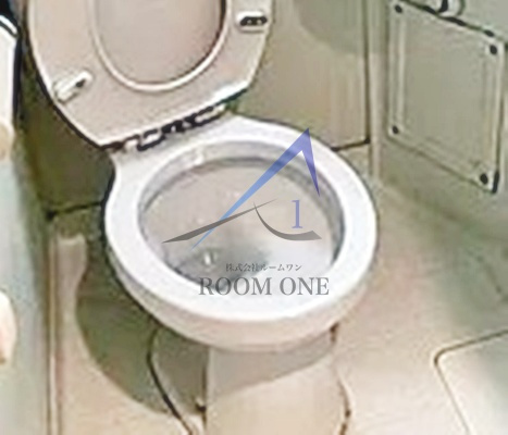 ソーニャのトイレ|トイレです。