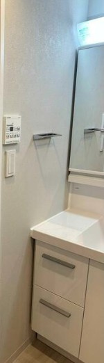 ビューネタワー平井の洗面所