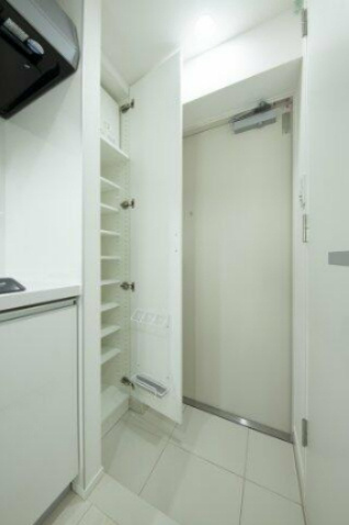 川崎市多摩区宿河原３丁目の賃貸マンションの玄関