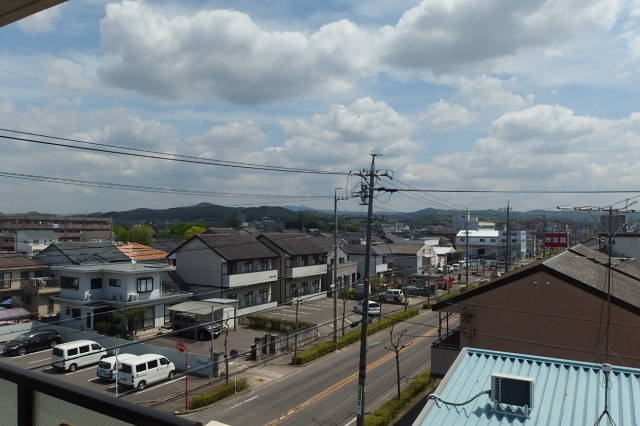 ロイヤルシバイチの展望